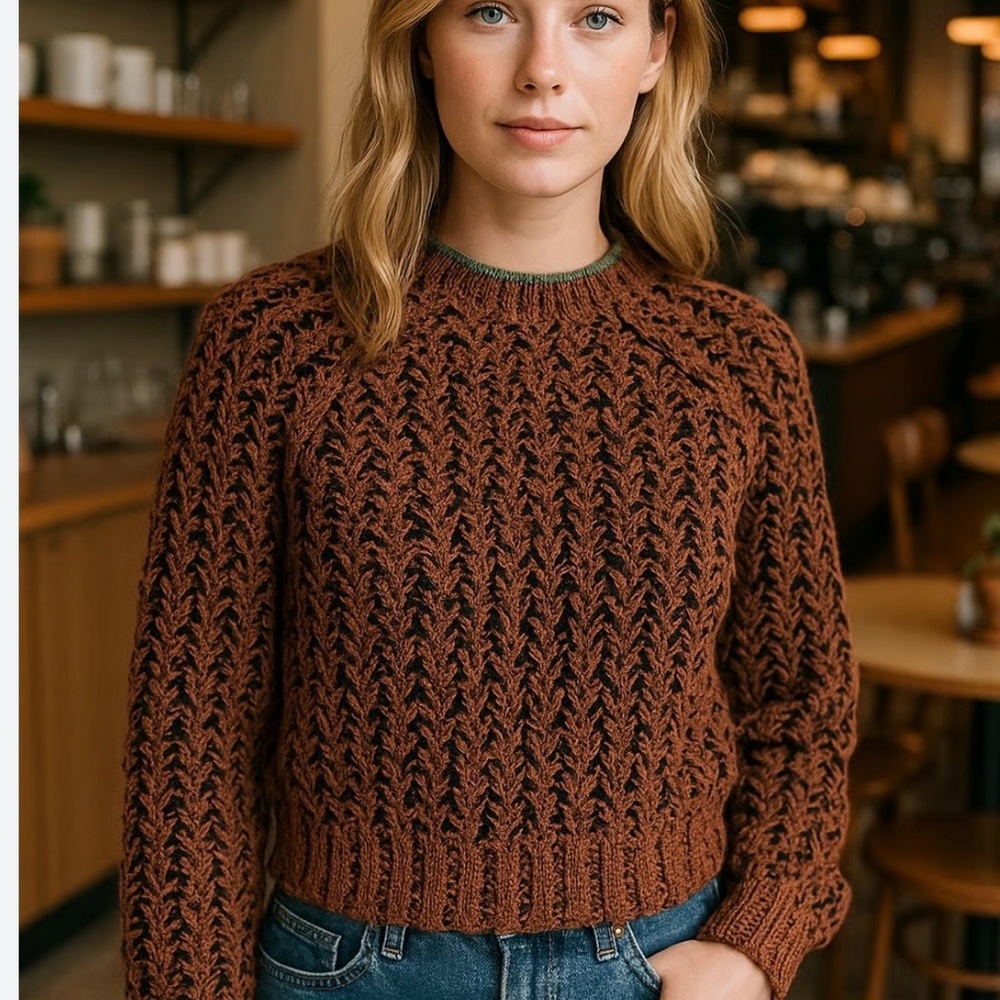 Wilfred confetti brown black cozy roll neck knit sweater large